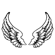 www.angelbrowstiina.com favicon