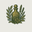 www.aromascent.ma