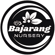 www.bajarangnursery.online favicon
