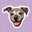 www.bellabbarkery.com
