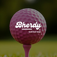 www.bherdygolf.com favicon