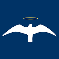 www.birdingcharleston.com favicon