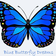 www.bluebutterflydreams.com favicon