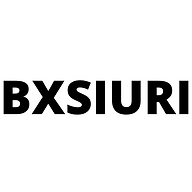 www.bxsiuri.com favicon
