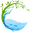 www.cantonaquatics.com favicon