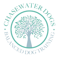 www.chasewaterdogs.com favicon