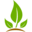 www.chironbotanics.com favicon