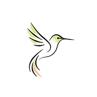 www.colibriclub.co.il favicon