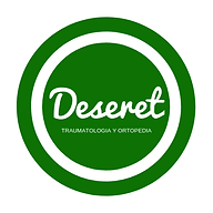 www.deseretperu.com favicon