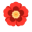 www.droogbloemengroothandel.be favicon