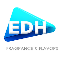 www.edh-group.com favicon