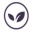 www.elderberry-boost.com