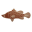www.fishoutbackstores.au favicon