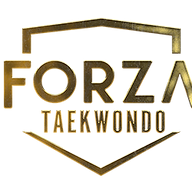 www.forzatkd.com.au favicon