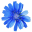 www.freedom-flowers.com favicon