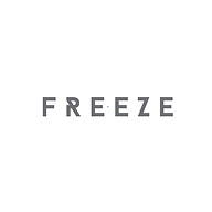 www.freezelifestyle.com favicon