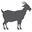www.glamorousgoat.co.nz