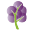 www.grapetree.co.uk favicon