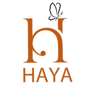 www.hayachikan.com favicon