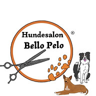 www.hundesalonbellopelo.at favicon