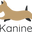 www.kanine.com favicon