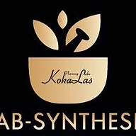 www.labsynthesis.com favicon