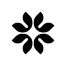 www.lassiva.com