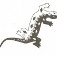 www.laughing-lizard.com favicon