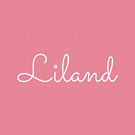 www.liland.ch favicon
