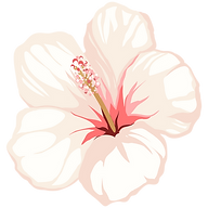 www.lillflora.fi favicon