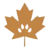www.maplefinn.com favicon