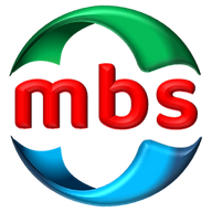 www.mbs-logistik.com favicon