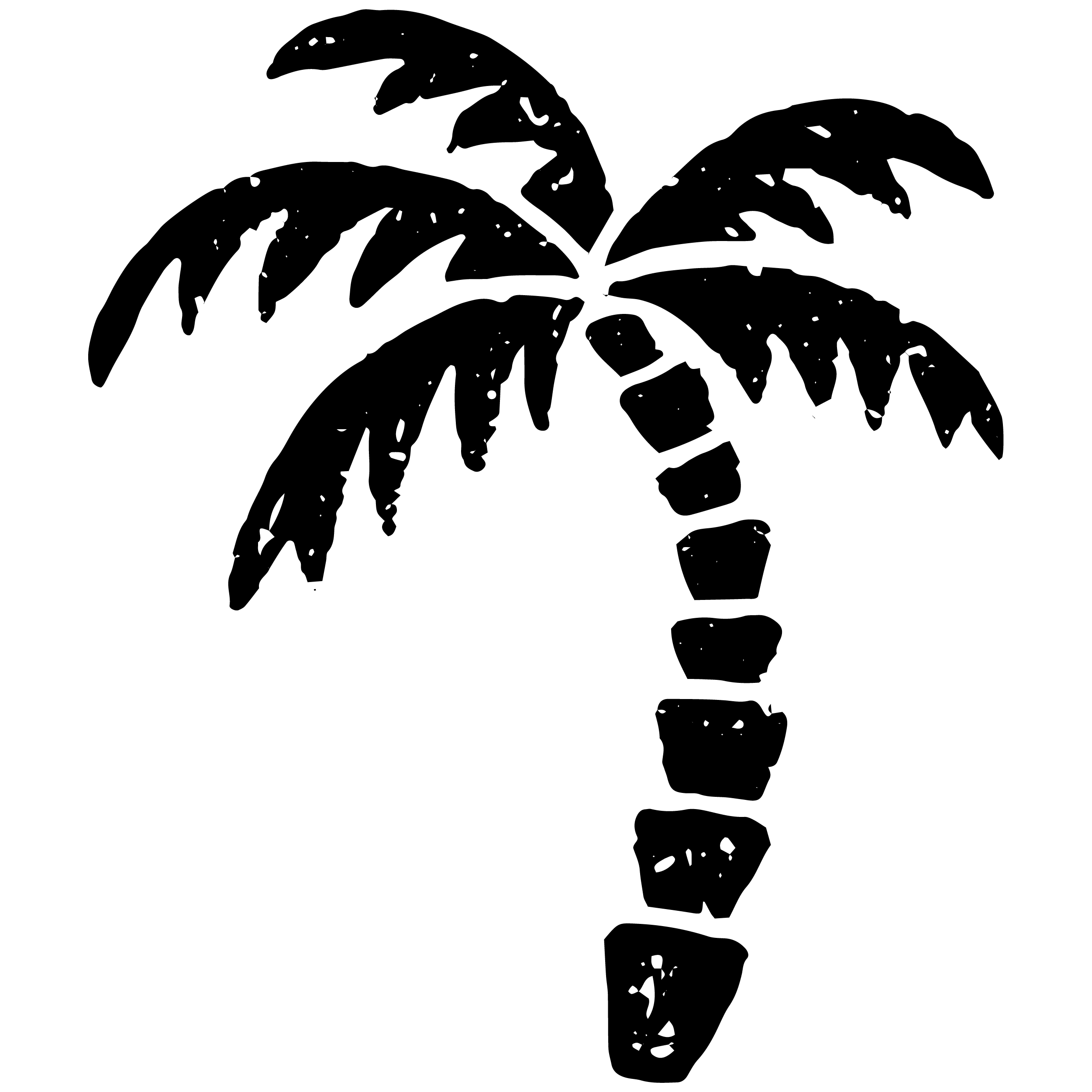 www.mincacases.com