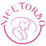 www.nicetorso.com favicon