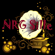 www.nrgsille.com favicon