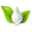 www.nutrivera.com favicon