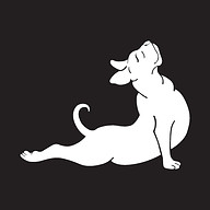 www.onwardandupwarddog.com favicon