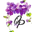 www.orchidnpetals.com