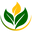 www.organichabibi.com