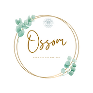 www.ossom.co.in favicon