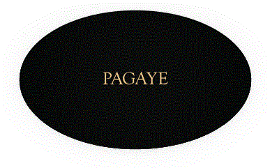 www.pagayenigeria.com favicon