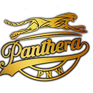 www.pantherapnw.com favicon