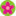 www.pilovilo.com