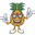 www.pineappletransfers.com favicon