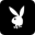 www.playboybagthailand.com favicon