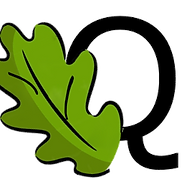 www.quercusonline.com favicon
