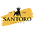 www.santoro-london.com favicon