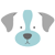www.sassyshihtzu.com