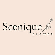 www.sceniquelab.com favicon