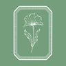 www.shopstudioearth.com favicon